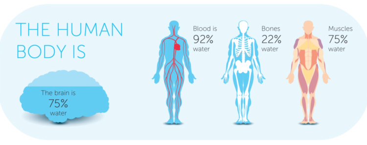How Dehydration Affects Brain Physiology